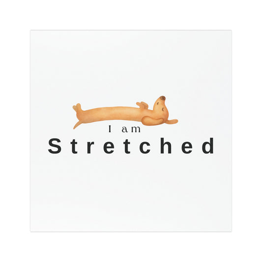 Car Magnet — "I am stress" Phrase Sticker for Relatable Humor